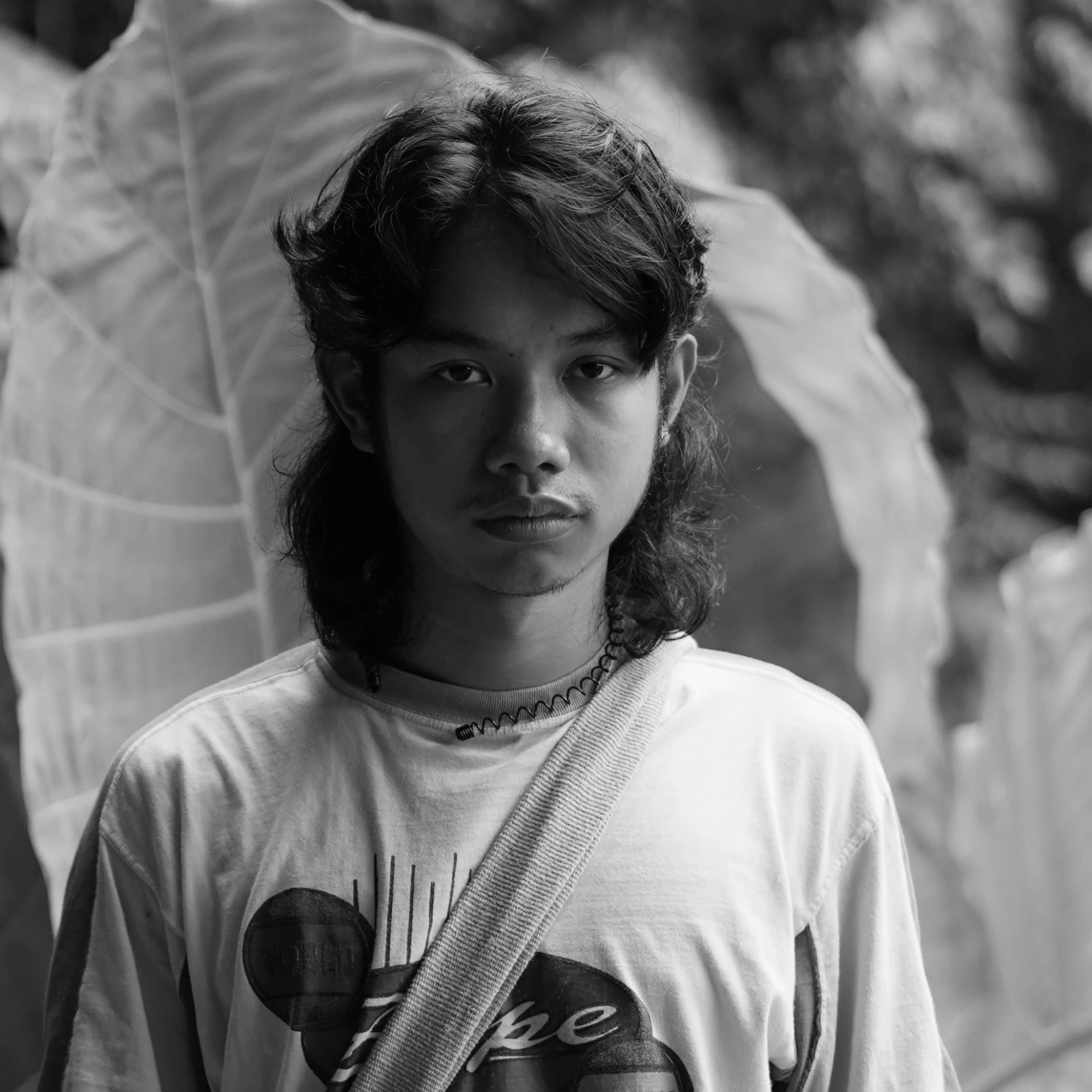 ทวีโชค ผสม